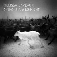 Dying is a wild night / Mélissa Laveaux | Laveaux, Mélissa (9 janvier 1985 Montréal, Québec, Canada- ). Chanteur