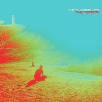 Terror (The) | Flaming Lips (The). Musicien