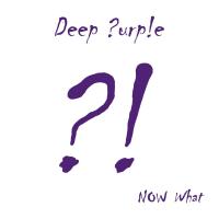 Now what ?! | Deep Purple. Musicien