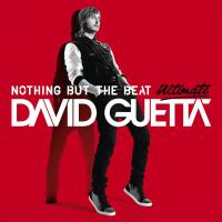 Couverture de Nothing but the beat ultimate