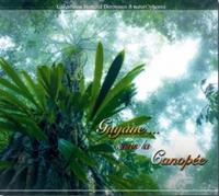 Guyane... sous la canopée