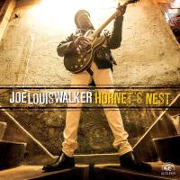 Hornet's nest Joe Louis Walker, chant, guit.