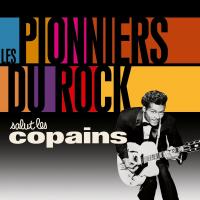 Salut les copains : les pionniers du rock : [Anthologie] / Bill Haley and His Comets | Berry, Chuck