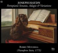 Fortepiano sonatas, adagio & variations Joseph Haydn, comp. Bobby Mitchell, pianoforte (Stein, 1799)
