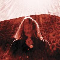 Manipulator / Ty Segall, comp. & chant | Segall, Ty. Compositeur. Comp. & chant