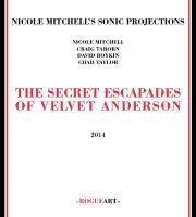 The secret escapades of Velvet Anderson Nicole Mitchell's Sonic Projections