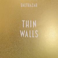 Thin walls. Devoldere Marteen, Chant, guitare, clavier | Balthazar
