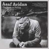 The Study on falling | Avidan, Asaf (1980-....). Compositeur. Artiste de spectacle. Musicien