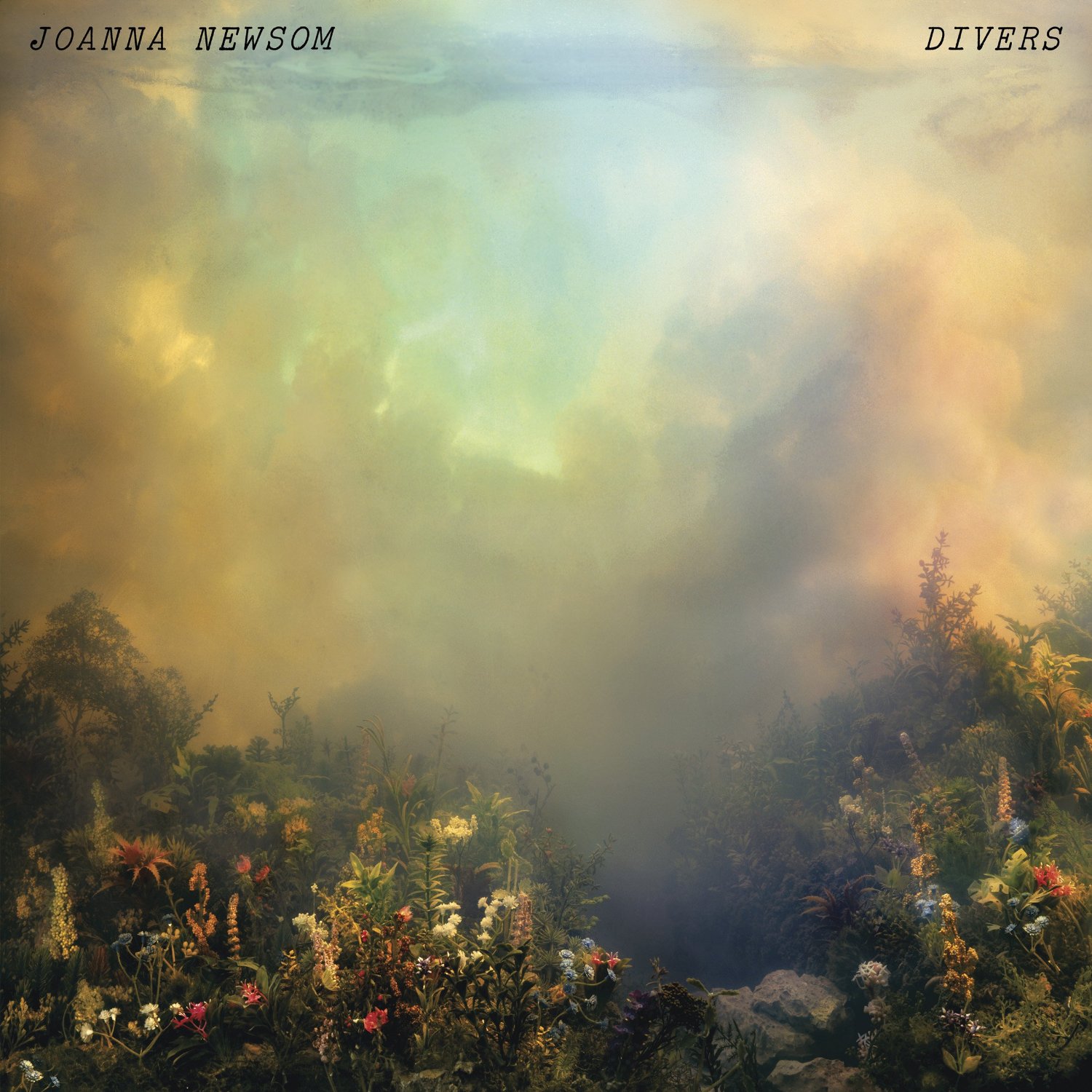 Divers / Joanna Newsom, chant, p, claviers et hrp | Newsom, Joanna. Interprète