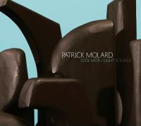Ceol mor - Light & shade / Patrick Molard, cornemuse | Molard, Patrick. Interprète