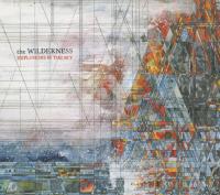 Wilderness / Explosions In The Sky, ens. instr. | Explosions in the Sky. Interprète