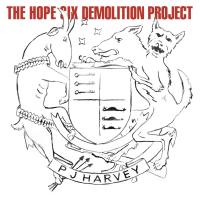 Hope six demolition project (The)