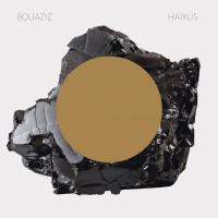 Haïkus / Pascal Bouaziz, chant, guit. | Bouaziz, Pascal. Interprète