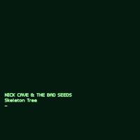 Skeleton tree Nick Cave & the Bad Seeds, groupe voc. & instr.