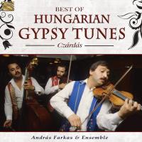 Best of hungarian gypsy tunes | Andras Farkas Ensemble. Musicien