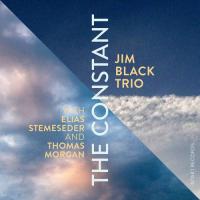 The constant / Jim Black Trio, ens. instr. | Stemeseder, Elias. Interprète