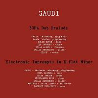 30 Hz dub prelude : Electronic impromtu in E-flat minor / Gaudi, prod, interp. | Gaudi (1963 - ) - musicien, prod, comp.. Producteur. Interprète