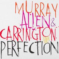 Perfection / David Murray, saxo t & clar. b | Murray, David (1955-) - saxophoniste. Interprète