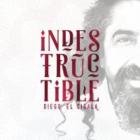 Indestructible / Diego El Cigala, chant | Diego "El Cigala". Interprète