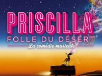 Priscilla, folle du désert : la comédie musicale | Elliott, Stephen (1963-....)