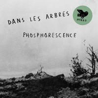 Phosphorescence / Dans Les Arbres, ens. instr. | Dans les arbres. Interprète