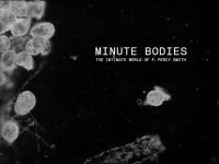 Minute bodies, the intimate world of F. Percy Smith : bande original du film de Stuart A. Staples / Tindersticks, ens. instr. | Tindersticks. Interprète