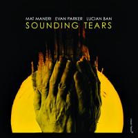 Sounding tears / Mat Maneri, alto | Maneri, Mat (1969-) - altiste, violoniste. Interprète