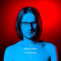To the bone | Wilson, Steven. Chanteur