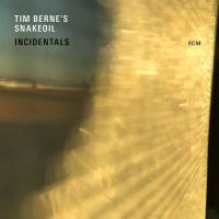 Incidentals / Tim Berne, saxo a | Berne, Tim (1954-) - saxophoniste. Interprète