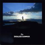Endless summer | Thomas de Pourquery (1977-....). Interprète