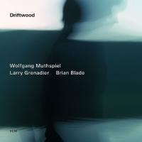 Driftwood | Wolfgang Muthspiel (1965-....). Musicien. Guitare