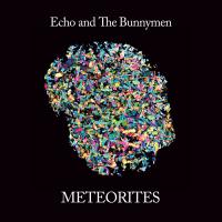 Meteorites | Echo & the Bunnymen. Musicien