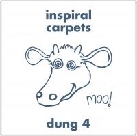 Dung 4 | Inspiral Carpets. Musicien