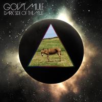 Dark side of the mule | Gov't Mule. Musicien