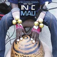 Terry Riley's in C Mali | Africa Express. Musicien