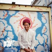 What for ? |  Toro Y Moi. Compositeur