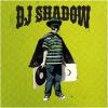 The outsider |  DJ Shadow (1973-....). Interprète