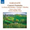 Concert fantasies : music for violin and piano, vol. 2