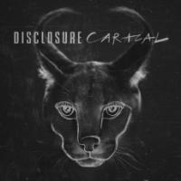 Caracal | Disclosure. Musicien