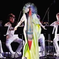 Vulnicura strings |  Björk (1965-....). Chanteur