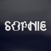 Products |  Sophie. Instrument électronique. Chanteur