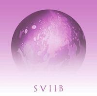 SVIIB | School of Seven Bells. Musicien