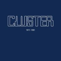 1971-1981 | Cluster. Musicien