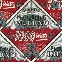 1000 watts | Flowering Inferno. Musicien