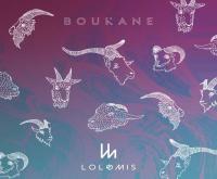 Boukane / Lolomis | Lolomis. Musicien