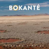 Strange circles | Bokanté