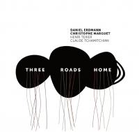 Three roads home / Daniel Erdmann, saxo t | Erdmann, Daniel (1973-) - flûtiste, saxophoniste. Interprète