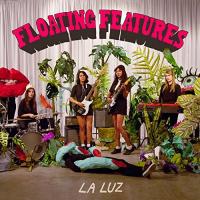 Floating features | Luz (La). Musicien