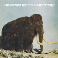 Polygondwanaland | King Gizzard & The Lizard Wizard