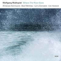 Where the river goes | Muthspiel, Wolfgang. Compositeur. Musicien